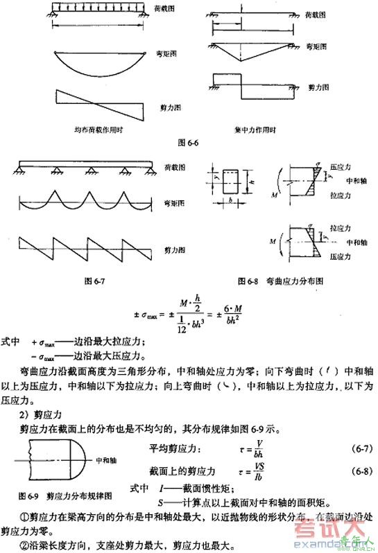 עὨʦṹ뽨豸