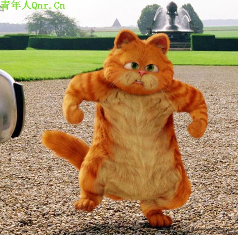һͼƬ