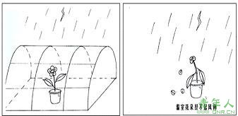 ̿ؿӢ(6)